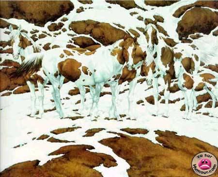 chevaux!!!!!!!!