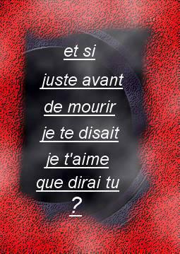 je t'aime!!!!!!!!!!!!!!